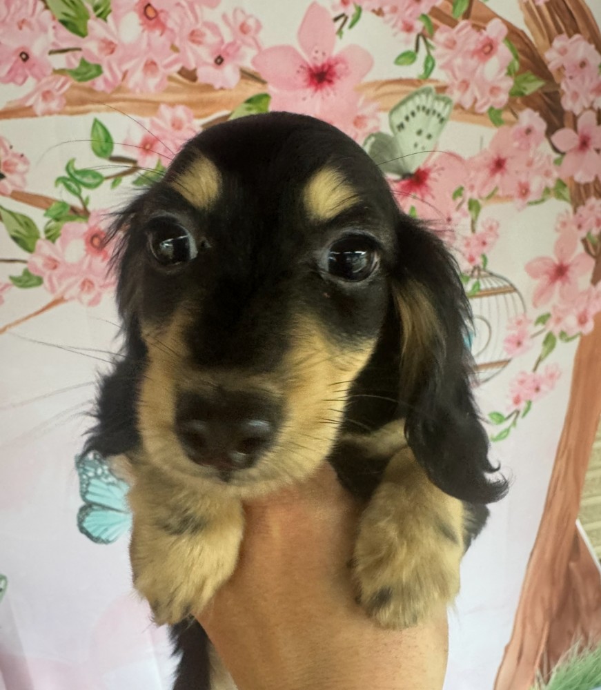 おっとりマイペースなイケメンくん